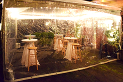 CHRISTMAS CAROL - YEAR 15